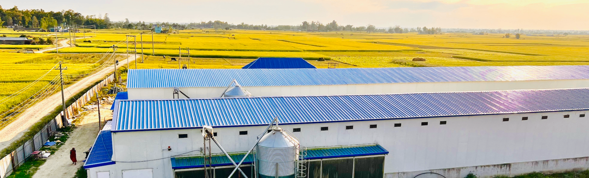 Sunlit aerial view of a Vivek's Group farm in the Nepali plains.