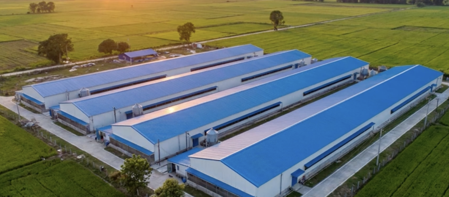 Aerial view of a large modern poultry farm with blue roofs surrounded by farmland.